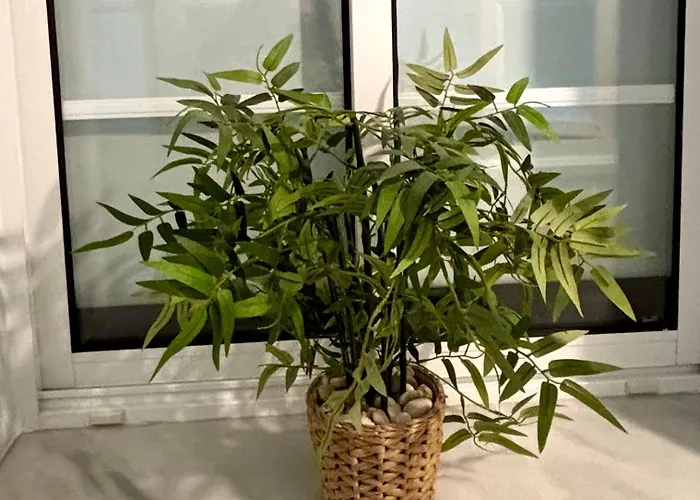 Feduchy 10 Min De La Playa 2 Banos