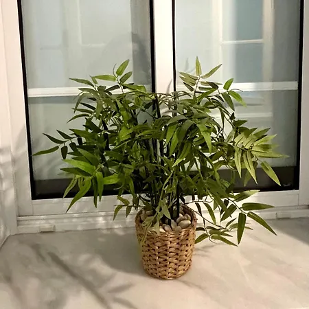 Feduchy 10 Min De La Playa 2 Banos